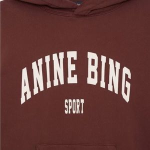 Brown Anine Bing sweatshirt worn 1x!